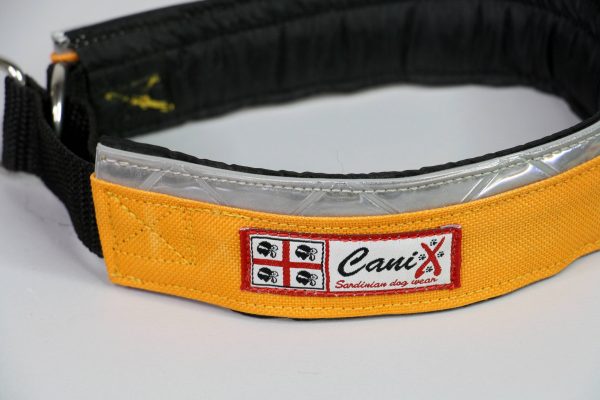 01-Collare-Personalizzato-Canix (3)